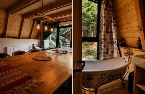 Blidari Cabin | Cabana Aframe Blidari