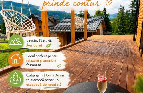 Dorna Arini Ski Chalet | Cabana Almora