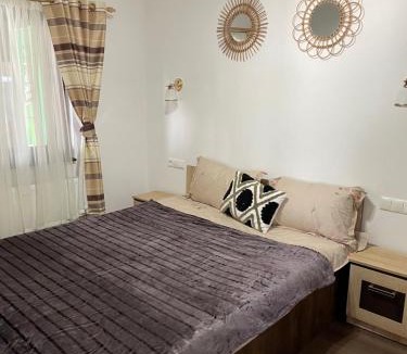 Beclean House | Cabana Amelie Baile Figa
