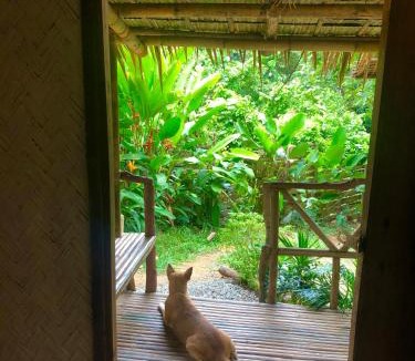 Philippines Cabin | Cabana Anahaw