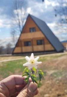 Runcu Ski Chalet | Cabana Andi