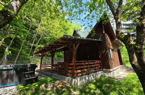 Sovata House | Cabana Anita