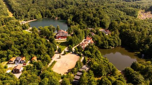 Baia-Sprie Cabin | CABANA BERNER stațiunea Mogoșa