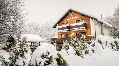 Baia-Sprie Cabin | CABANA BERNER stațiunea Mogoșa
