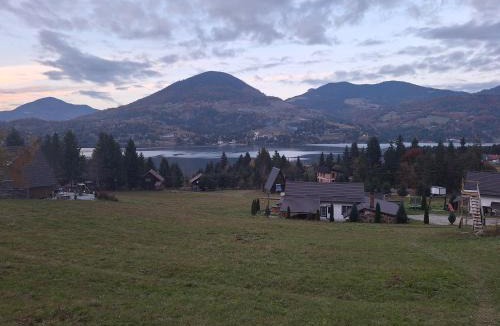 Bistrita Bargaului House | Cabana Busuioc