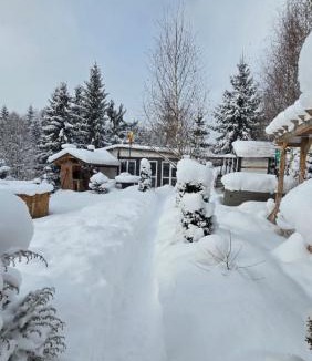 Bistrita Bargaului House | Cabana Căsaru