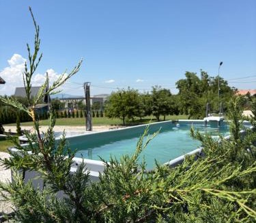 Ocna Mures House | Cabana Carpatin
