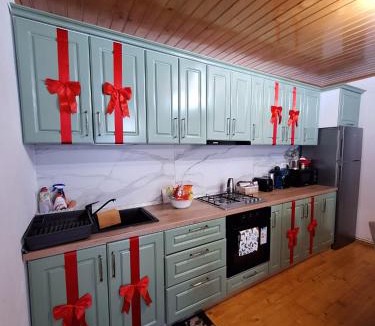 Budureasa House | Cabana Cezar