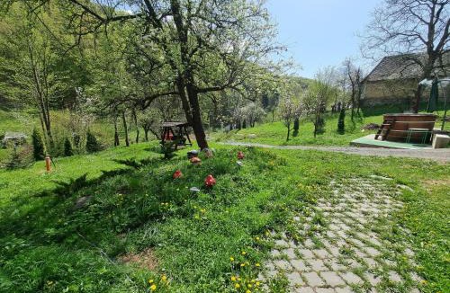 Blidari Cabin | Cabana Ciupercuța