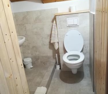 Malaiesti Cabin | Cabana CODRIN