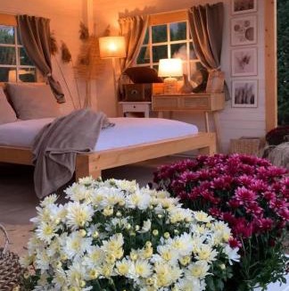 Branistea House | Cabana Colt de Poveste