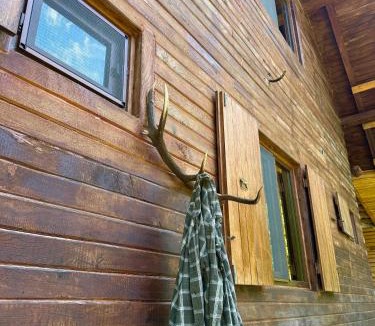 Schitu-Tarcau House | Cabana cu trofee