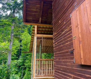 Schitu-Tarcau House | Cabana cu trofee