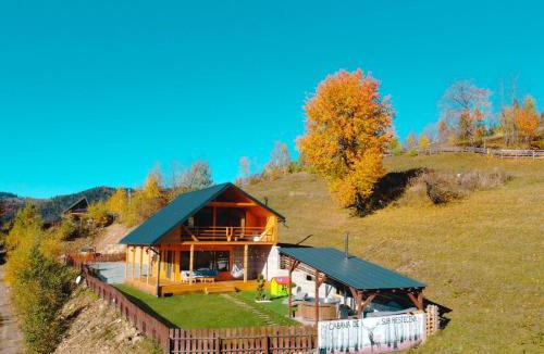 Horea Ski Chalet | Cabana de sub mesteceni