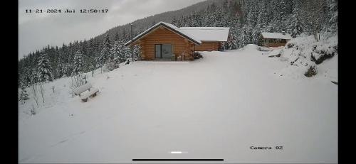 Borsa House | Cabana De Vis Pietrosul