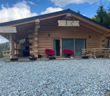 Borsa House | Cabana De Vis Pietrosul