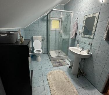 Muntele Baisorii Cabin | Cabana dintre brazi