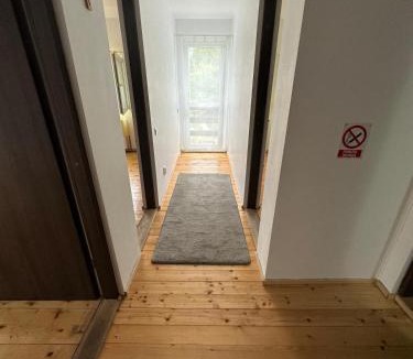 Muntele Baisorii Cabin | Cabana dintre brazi