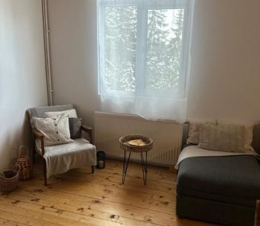 Muntele Baisorii Cabin | Cabana dintre brazi