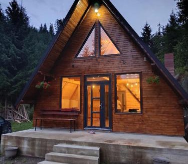 Damuc House | Cabana Doi Brazi A-FRAME