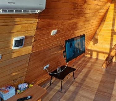 Curtea De Arges Ski Chalet | Cabana Ema