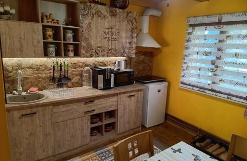 Riu de Mori Cabin | Cabana FARIO Rau Mare - Retezat