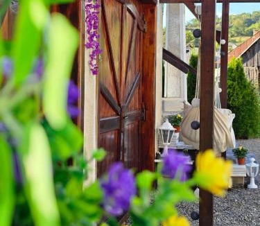Salistea de Sus House | Cabana GRAD