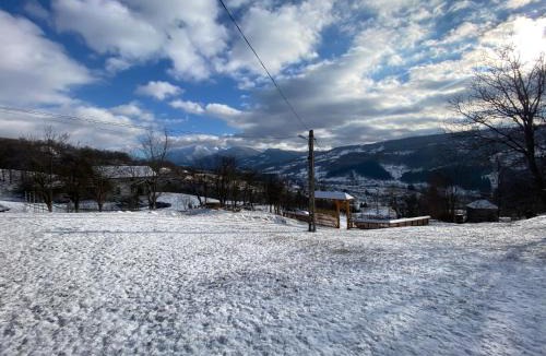 Moisei Cabin | Cabana HATERE
