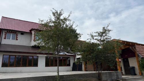Teregova House | Cabana Ianoșiga