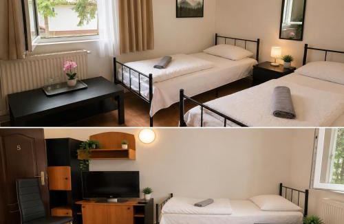 Arad House | Cabana Lir