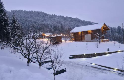 Borsa House | Cabana Livada