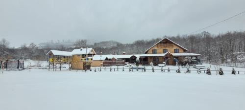 Minastirea Neamt Villa | Cabana Lunca