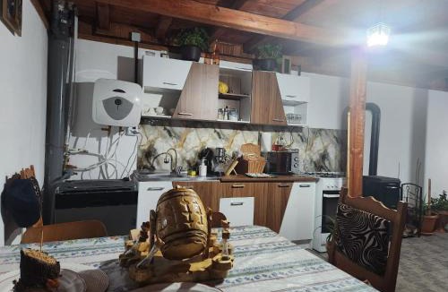 Nistoresti House | Cabana Maria