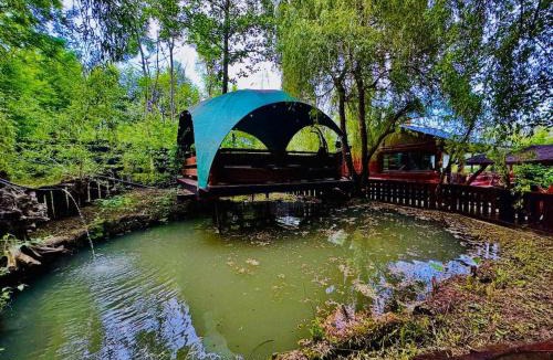 Darmanesti House | Cabana MARISA