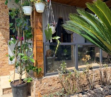 Corbu House | Cabana Maya