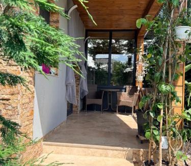 Corbu House | Cabana Maya