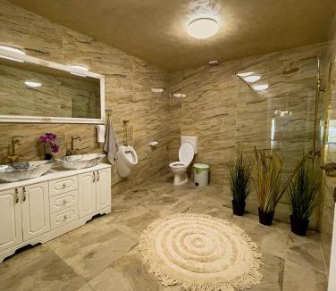 Ocolis Cabin | Cabana Moldovan Baisoara cu piscina interioara, ciubar, spa