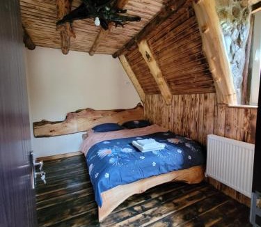 Valcanesti Ski Chalet | Cabana Noah Rustic