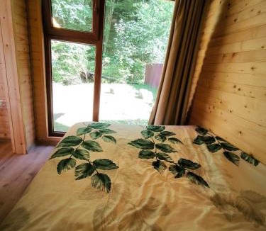 Baisoara House | Cabana Padurea Cerbilor