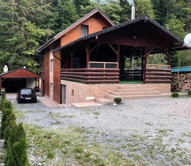 Baisoara Ski Chalet | Cabana Revnic