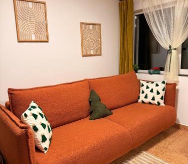 Baisoara House | Cabana Ruku