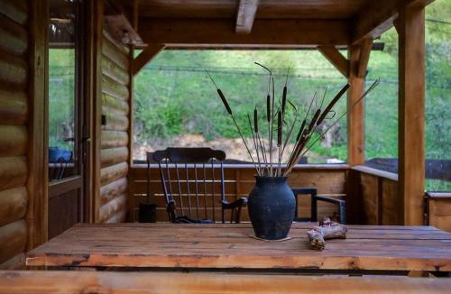 Anina House | Cabana Staier