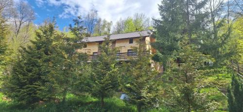 Gilau House | Cabana Teo