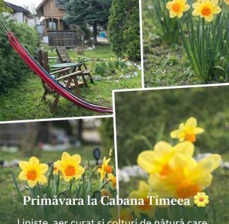 Hinova House | Cabana Timeea