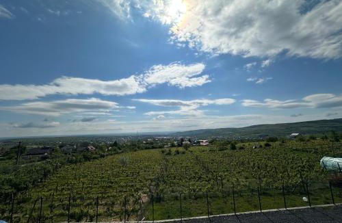 Husi Villa | Cabana Toscana