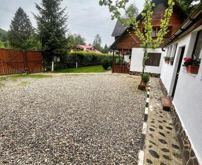 Avrig House | Cabana Tudor