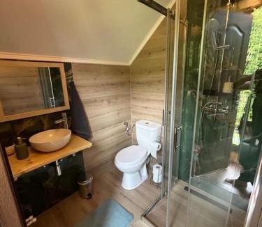 Budureasa House | Cabana Verde