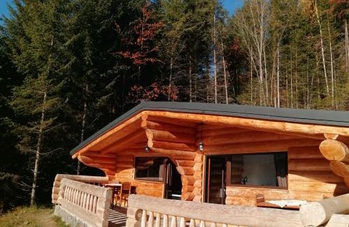 Borsa House | Cabanele silvania 1