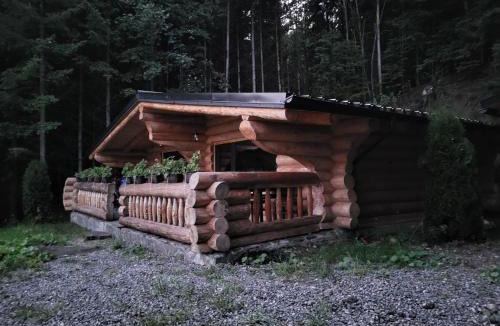 Borsa House | Cabanele silvania 1
