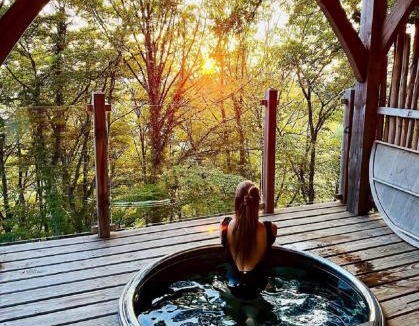 Bonlieu Bed & Breakfast | Cabanes du Hérisson, cabanes perchées de standing avec spa